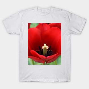 Tulip T-Shirt